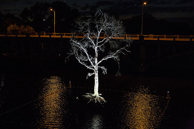 Ghost Tree Installed Above Lady Bird Lake