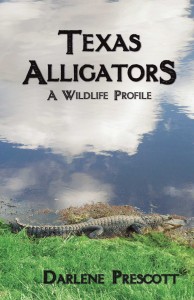 Texas_Alligators_Cover_for_Kindle