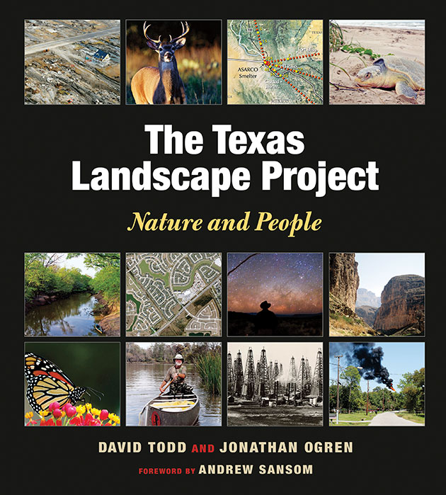 texas-landscape-project