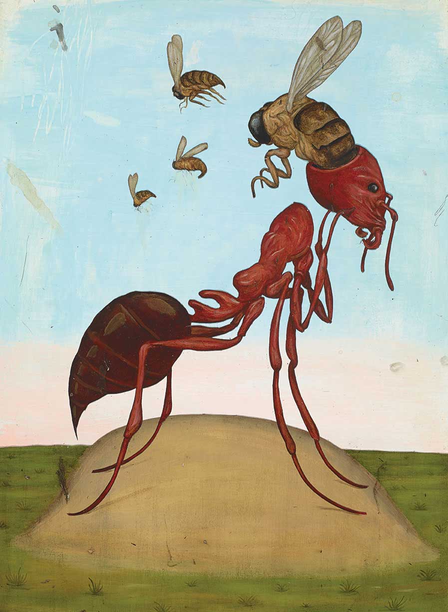 Zombie Ant