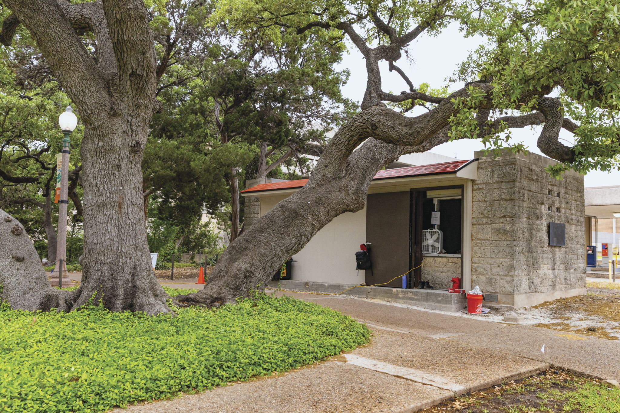 The original Dinosaur Trackways building at UT. 