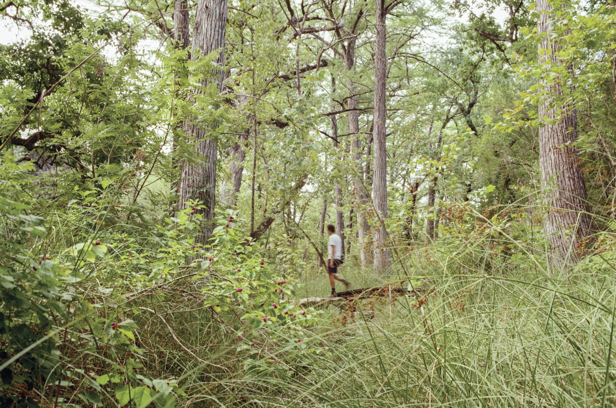 UT's Hill Country Field Station