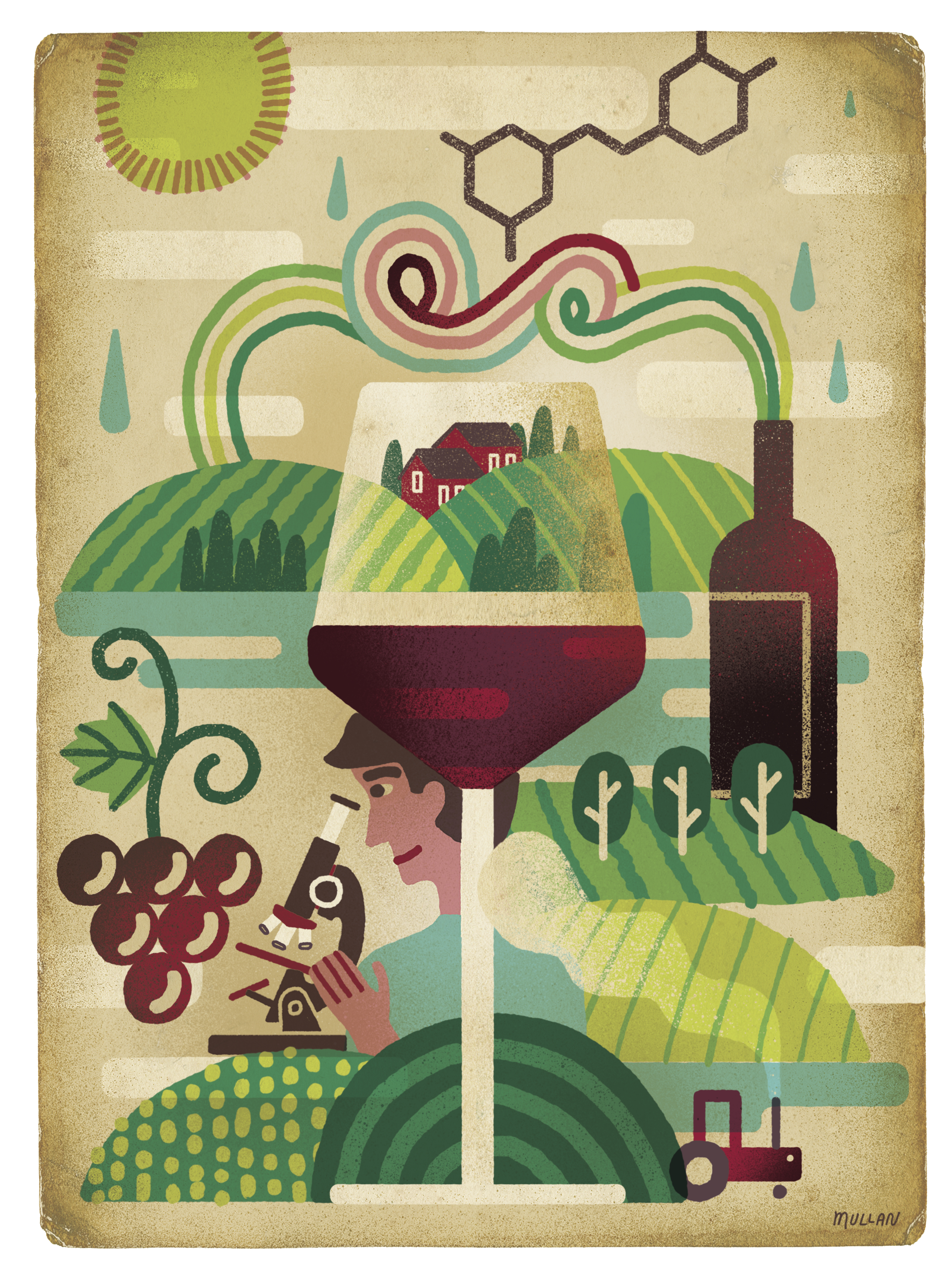 Winemaking illustration