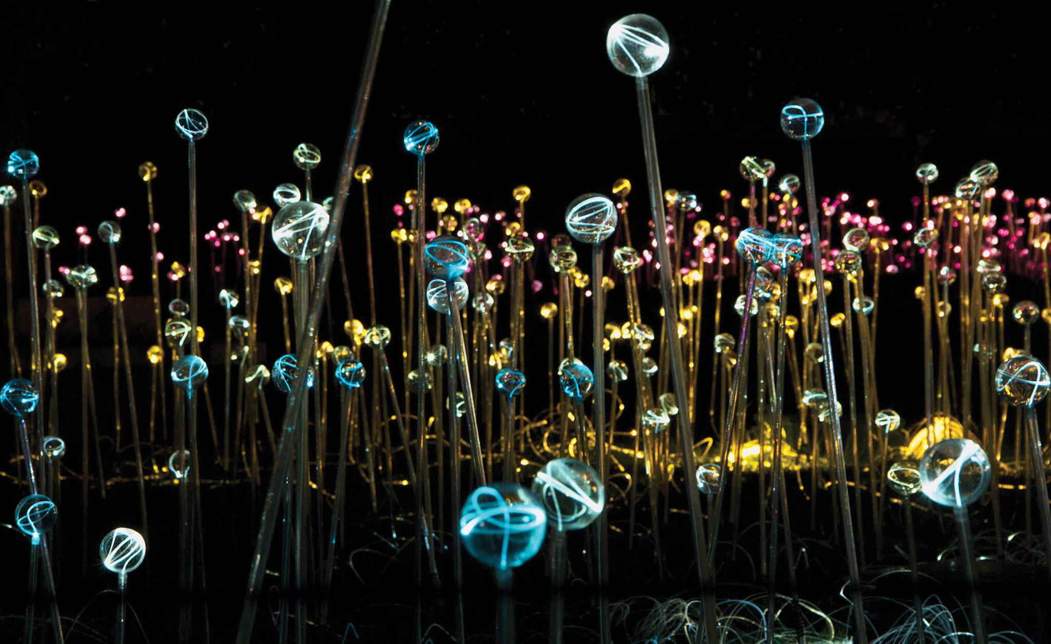 Precedent-Images-Copyright-©Bruce-Munro.-All-rights-reserved.-Photography-by-Mark-Pickthall-2-1