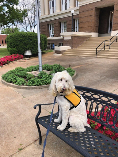 Sophie-in-front-of-Courthouse