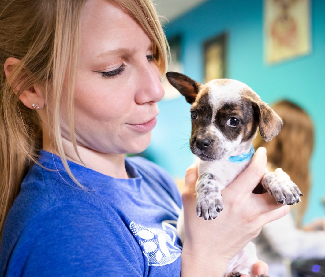 austinpetsalive2