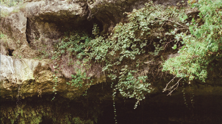 A grotto in the Hill Country. 