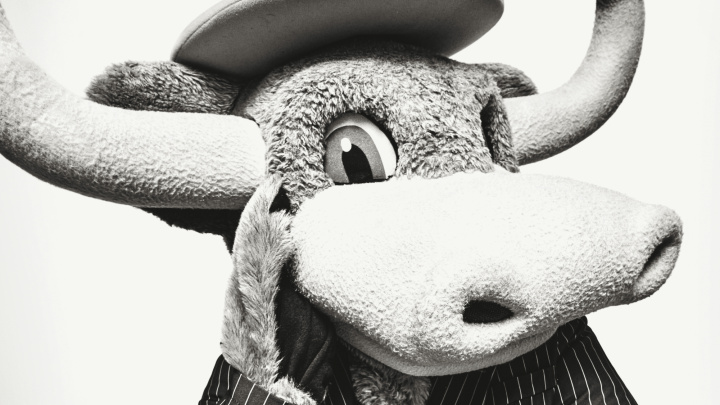 A black & white portrait of a stuffed mascot Longhorn poses in a pinstripe suit.
