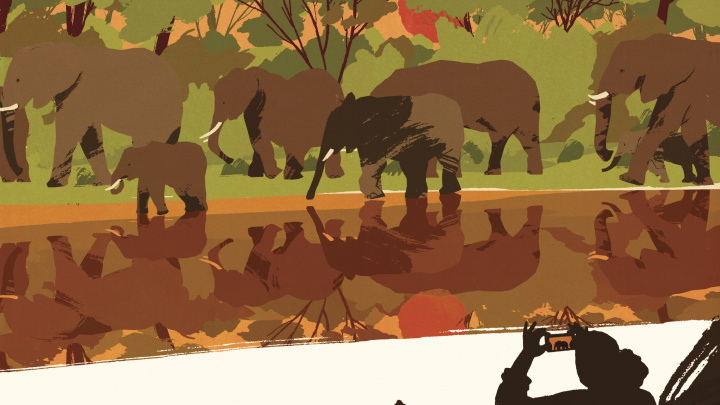 An illustration in earth tones of a tourist's silhouette taking a photo of an elephant herd walking alongside a body of water.