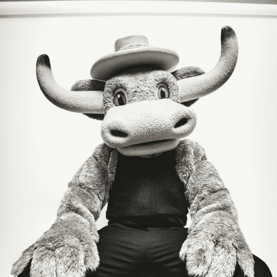 A stuffed Longhorn mascot sits on a wooden box posing for a black & white portrait. 