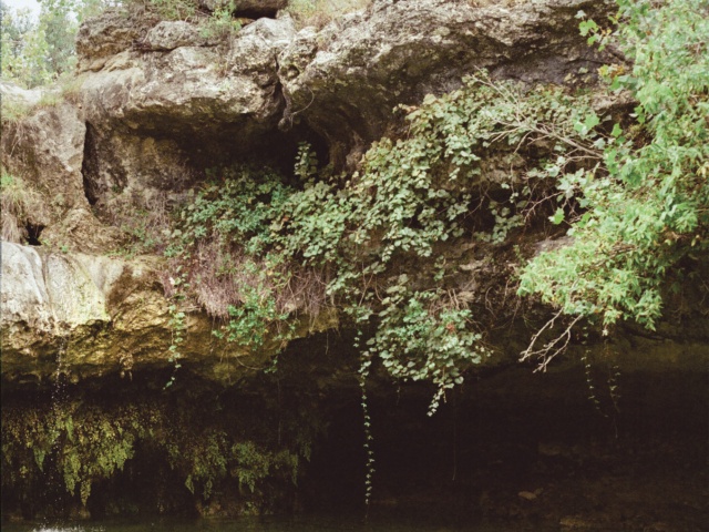 A grotto in the Hill Country. 