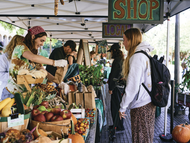 Students at UT Farmstand