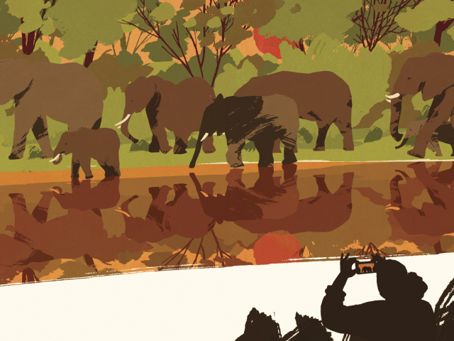 An illustration in earth tones of a tourist's silhouette taking a photo of an elephant herd walking alongside a body of water.