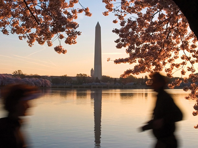 Springtime in D.C.