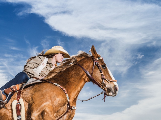 20140319_alcalde_rodeo-2006