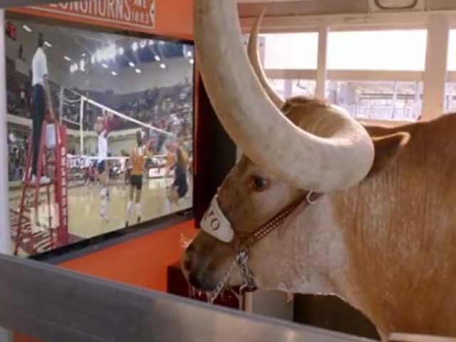 Bevo's Cable Provider Carries the Longhorn Network