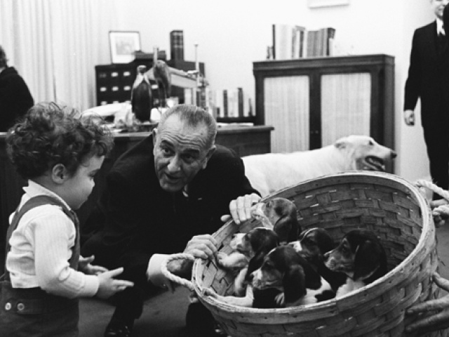 Cruel to Be Kind: LBJ Behind the Scenes