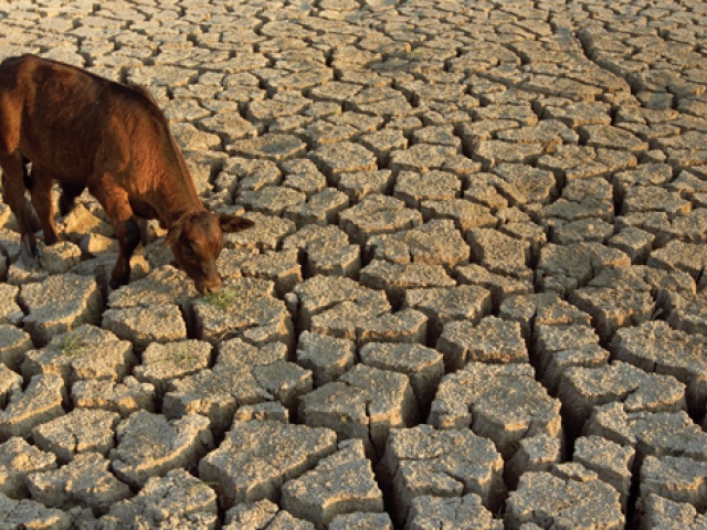 The “D” Word: Drought