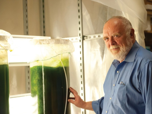 Hebner_Algae-2