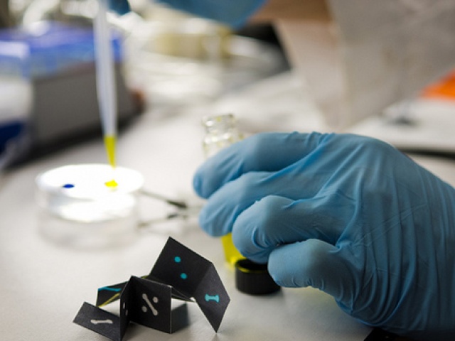 UT Chemists Create Origami-Like Sensor To Detect Malaria, HIV