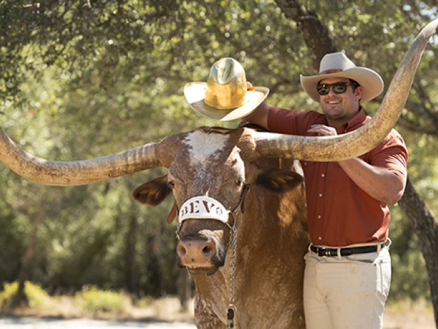 Bevo XIV Is Retiring