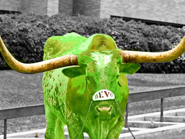 greenbevo-copy