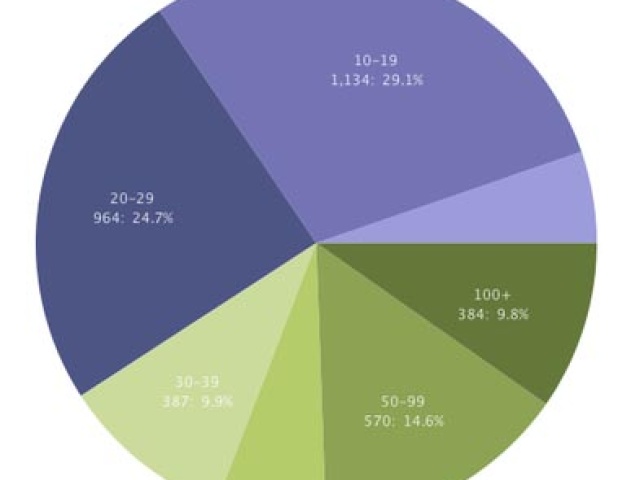 Visualization: UT-Austin Class Sizes