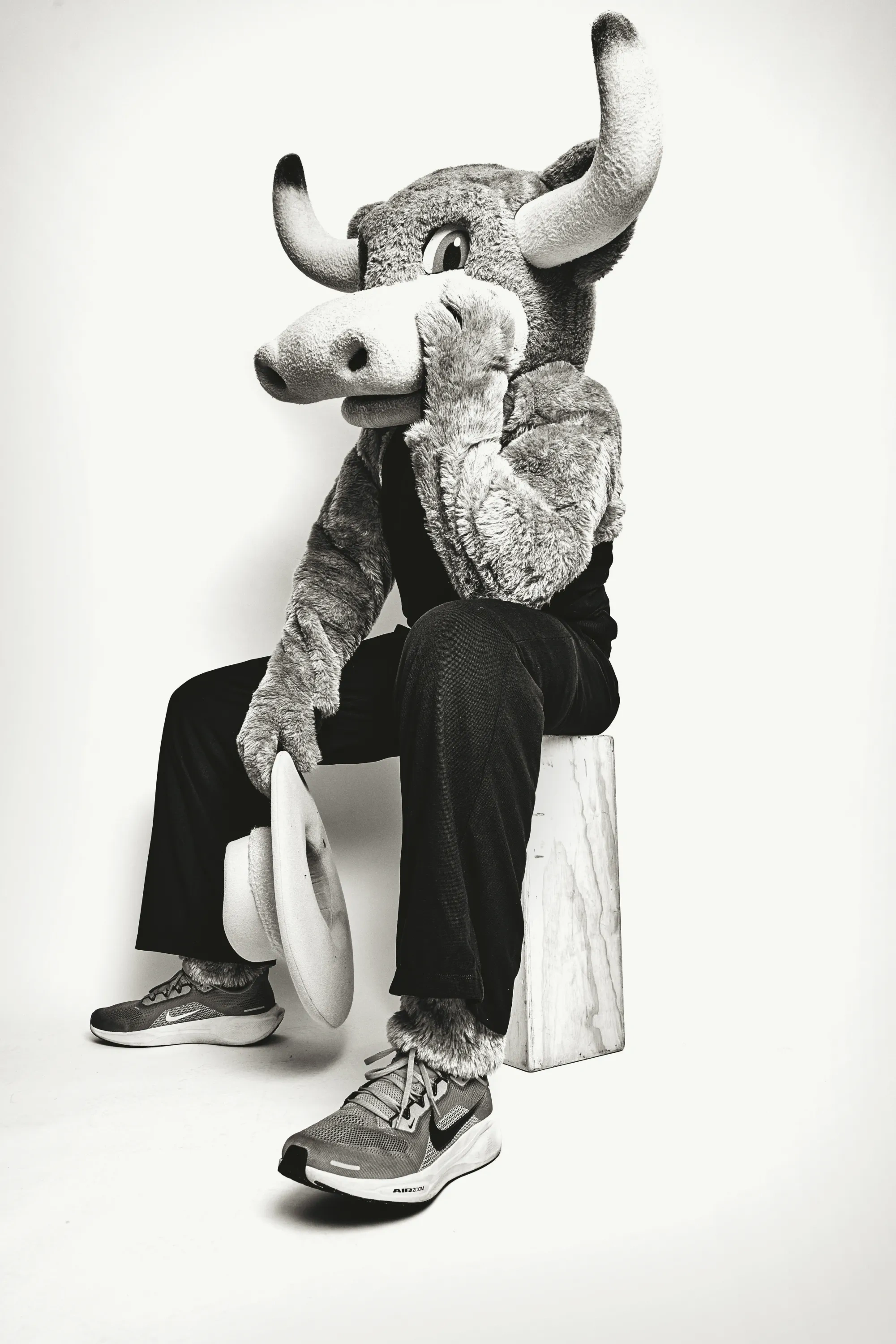 A stuffed Longhorn mascot sits on a wooden box posing for a black & white portrait. 