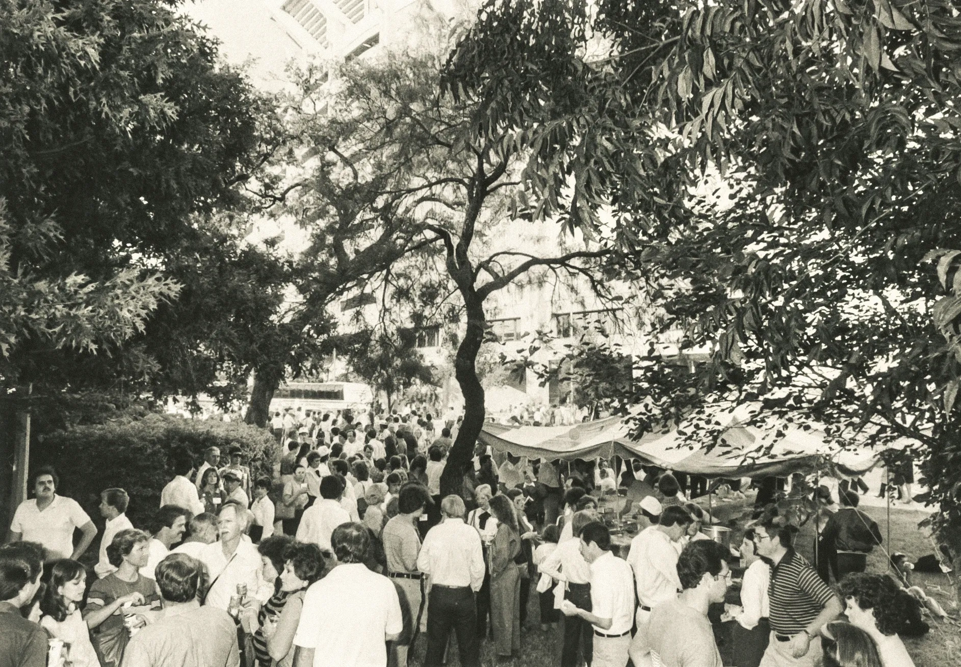 A view of a crowd under the oak trees outside of the Alumni Center, with DKR in the background.