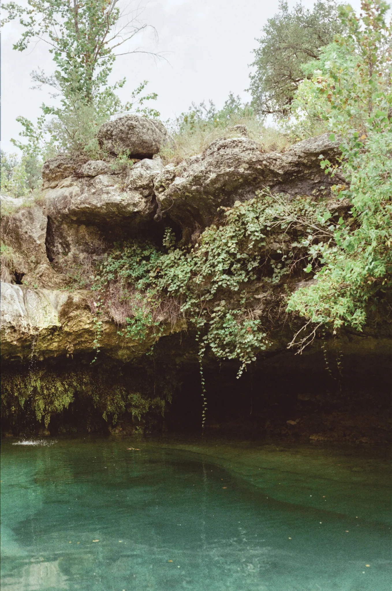 A grotto in the Hill Country. 
