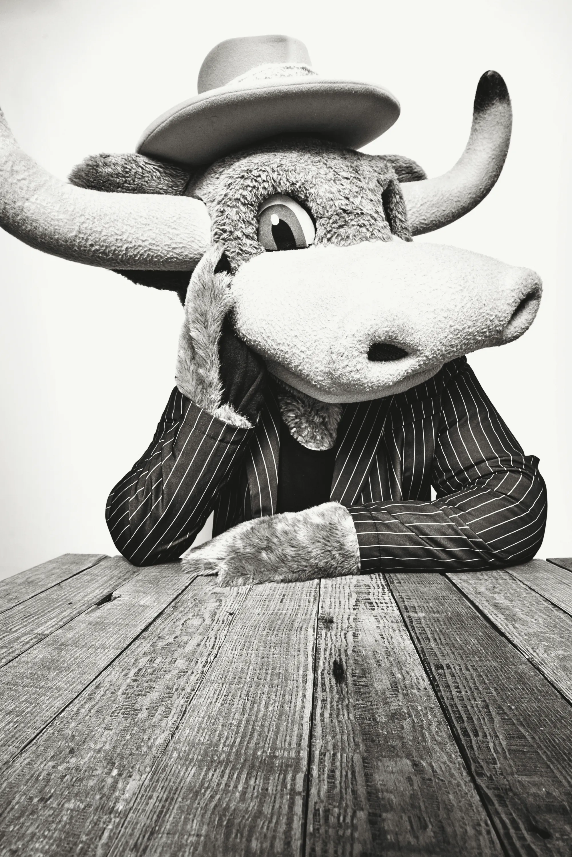 A black & white portrait of a stuffed mascot Longhorn poses in a pinstripe suit.