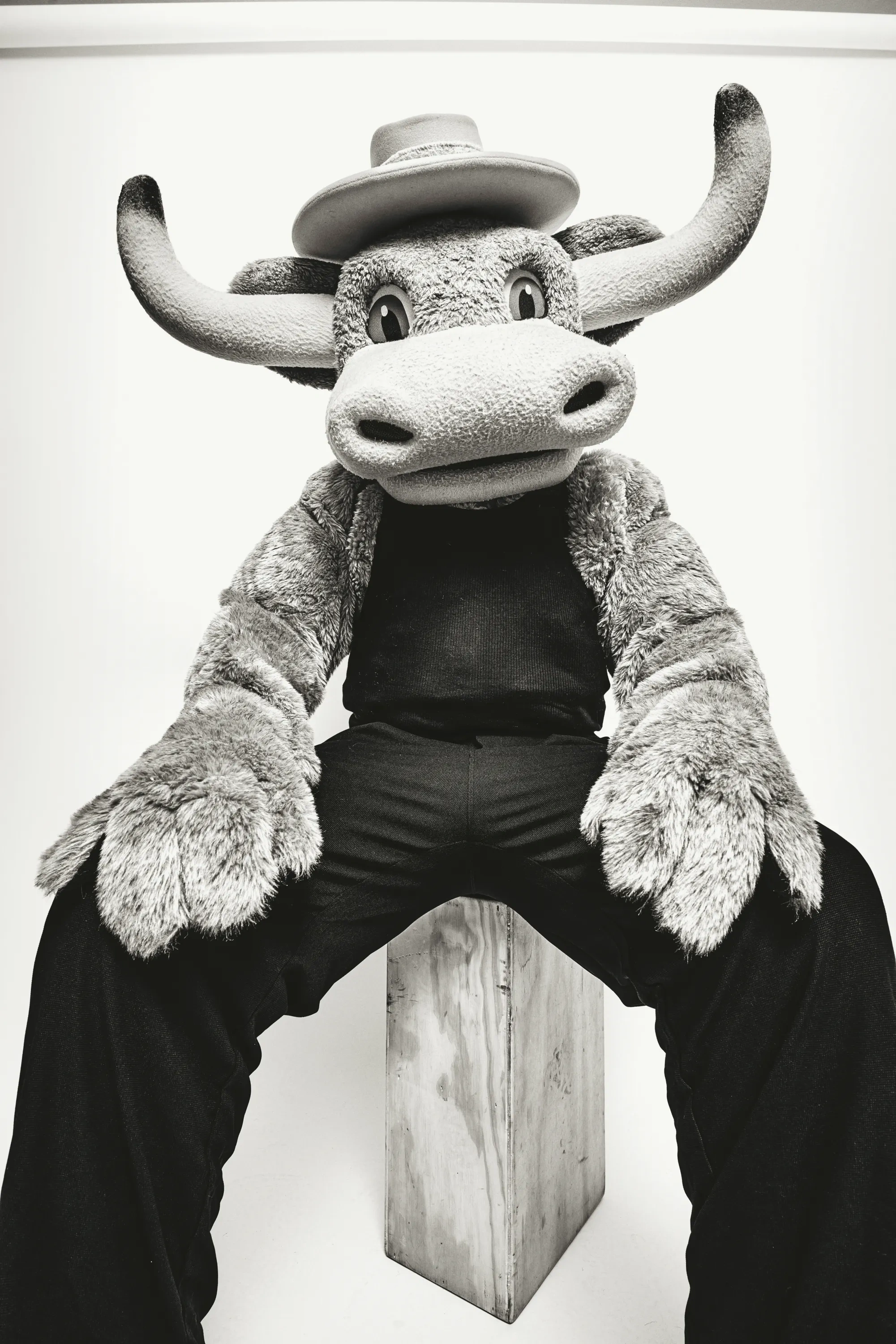 A stuffed Longhorn mascot sits on a wooden box posing for a black & white portrait. 