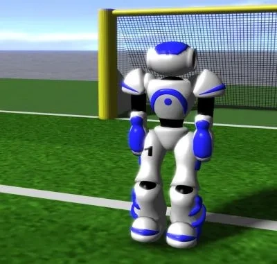 RoboSoccer Player