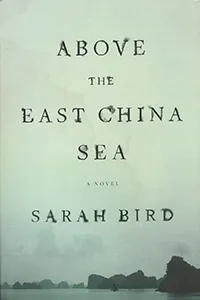 Above the East China Sea